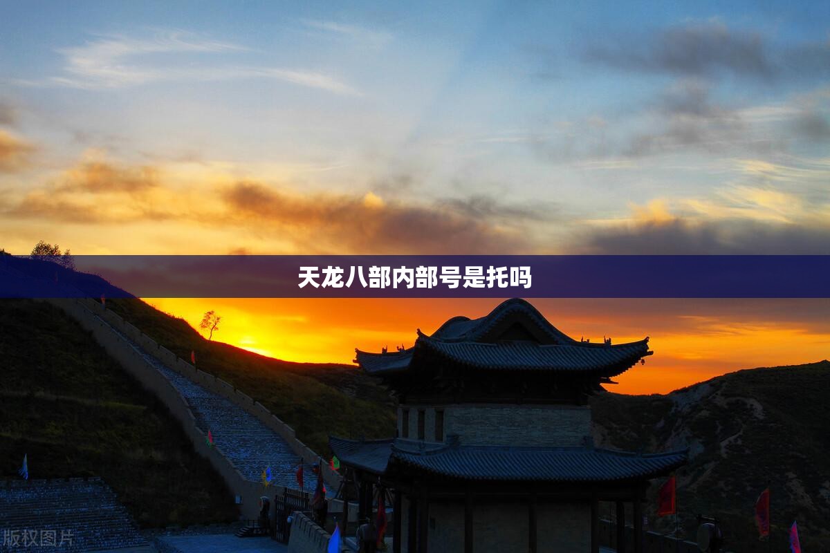 天龙八部内部号是托吗