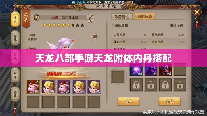 天龙八部手游天龙附体内丹搭配
