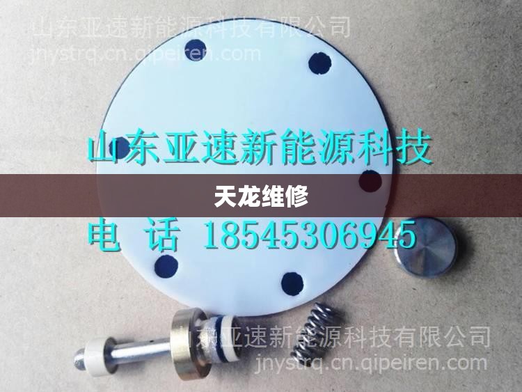 天龙维修