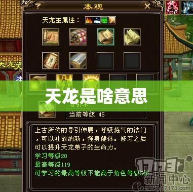 天龙是啥意思